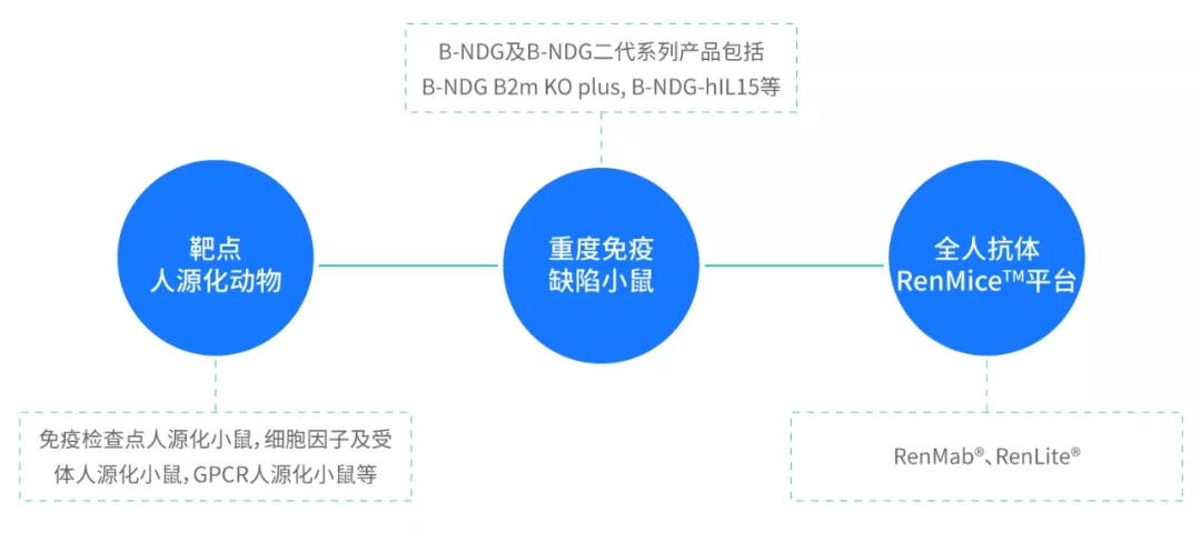 优质动物模型