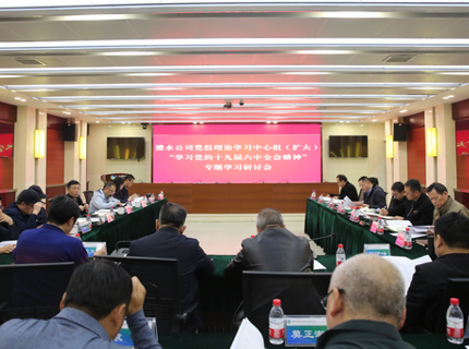 ng电子游戏公司党组中心组（扩大）专题进建党的十九届六中全会心灵
