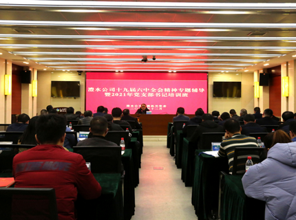 ng电子游戏公司进行党的十九届六中全会心灵专题领导暨党支部书记培训班