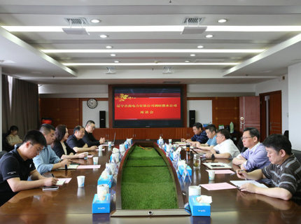 辽宁吉高电力装置有限责任公司与ng电子游戏公司互换座谈