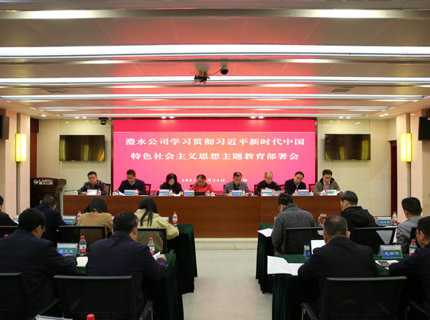 ng电子游戏公司召开进建贯彻习近平新时期中国特色社会主义思想主题教育部署会