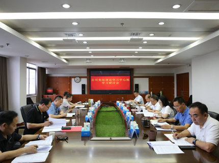 ng电子游戏公司党组理论进建中心组发展主题教育第四次集中进建钻研