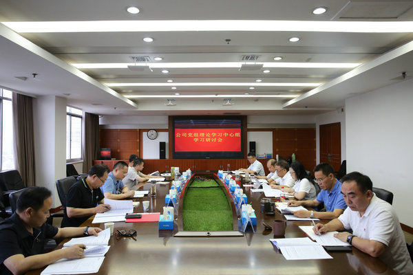 ng电子游戏公司党组理论进建中心组发展主题教育第四次集中进建钻研