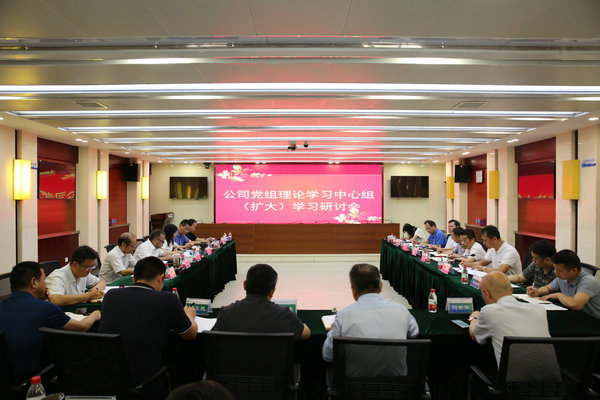 ng电子游戏公司党组理论进建中心组发展主题教育第五次集中进建钻研