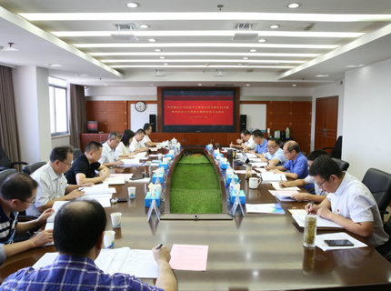 ng电子游戏公司党组召开主题教育专题民主生涯会