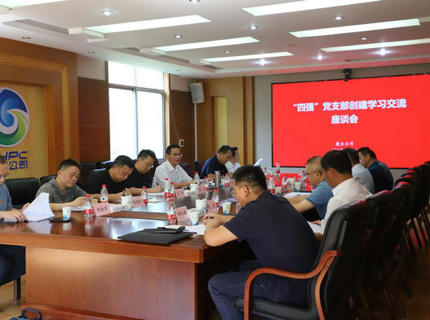 ng电子游戏公司发展“四强”党支部创建进建互换活动