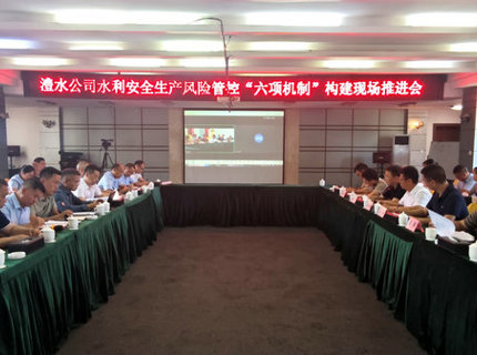 ng电子游戏公司召开水利安全出产风险管控“六项机造”构建现场推动会