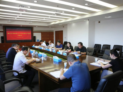 ng电子游戏公司党组召开2024年全面从严治党专题会议