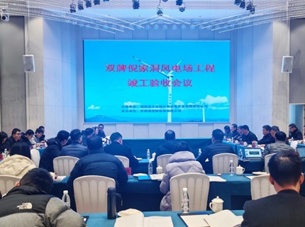 ng电子游戏公司双牌倪家洞风电场工程顺利通过竣工验收
