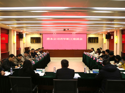 ng电子游戏公司召开青年职工座谈会