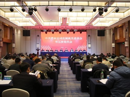 中共ng电子游戏公司直属机关委员会第五次党员代表大会召开