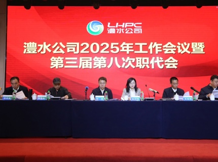 ng电子游戏公司召开2025年工作会议暨第三届第八次职代会