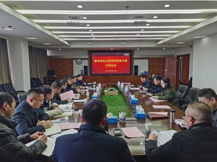 ng电子游戏公司召开数字孪生建设辅导幼组工作会议