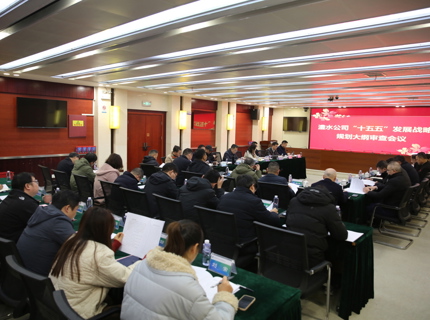ng电子游戏公司召开“十五五”发展战术规划纲领审查会
