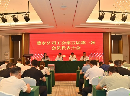 ng电子游戏公司召开第四届职工代表大会暨第五届工会会员代表大会