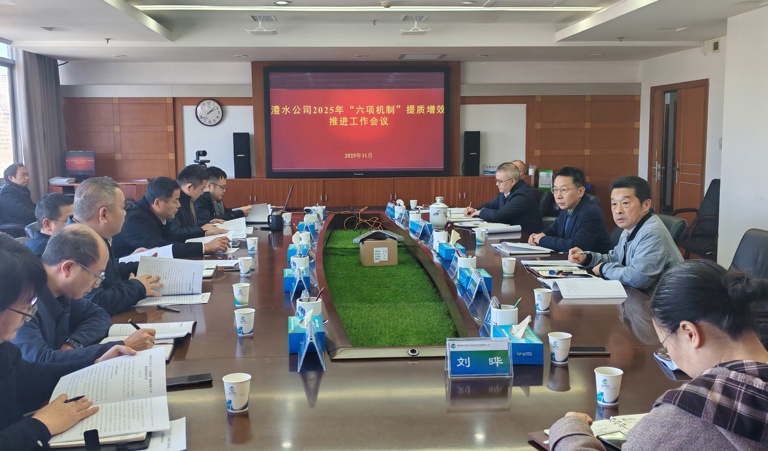 公司召开“六项机造”提质增效推动工作会