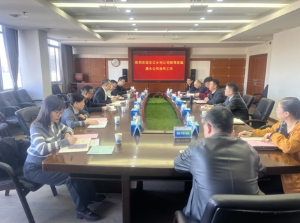 ng电子游戏公司与右江公司互换座谈