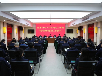 ng电子游戏公司召开2026年党的工作暨党风廉政建设工作会议