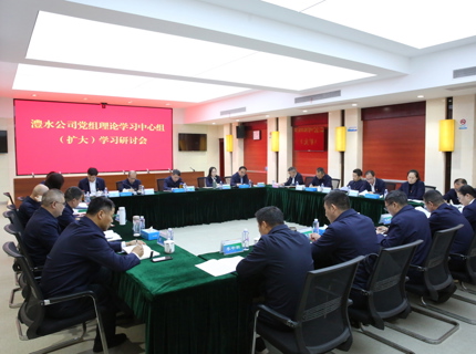 ng电子游戏公司党组进行设置和践行正确政绩观进建教育专题想书班