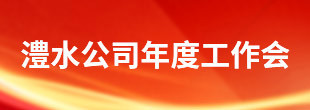 ng电子游戏公司年度工作会
